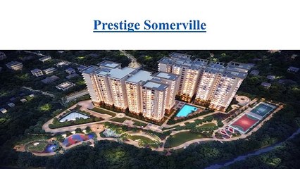 Prestige Somerville