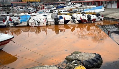 Tekirdağ sahilinde denizin rengi turuncu oldu