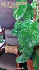 Our Little Paradise: The Makeover 