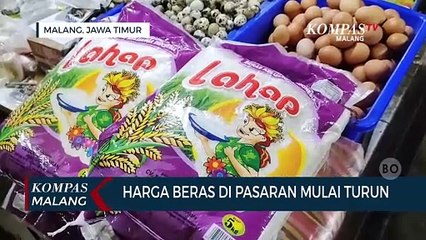 Harga Beras di Pasaran Mulai Turun, Harga Telur Melonjak