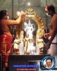 வைத்தீஸ்வரன் கோயில் முருகனுக்கு அரோகரா சிங்கப்பூர் டிஎம்எஸ் ரசிகர்கள் M.THIRAVIDA SELVAN  VOL 6