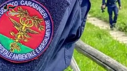 Operazione "Scirocco" contro la gestione illecita dei depuratori comunali