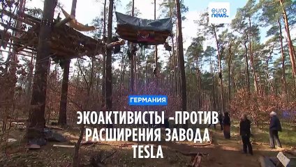 Экоактивисты разбили лагерь рядом с заводом Tesla, чтобы помешать его расширению