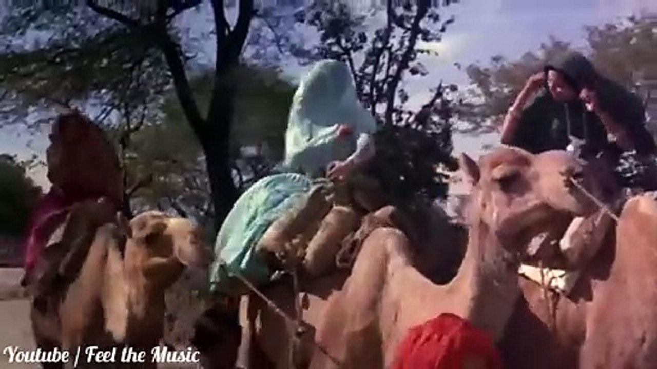 Aaj_Phir_jeene_ki_Tamanna_hai___Guide___1965___Song_by_Lata_Mangeshkar___Feel_the_Music(720p)