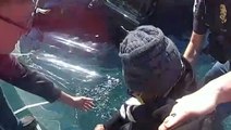 Watch: Sinking driver pulled from car after crashing into swimming pool in Georgia
