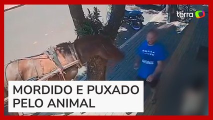 Vereador é mordido por cavalo durante caminhada no interior do Paraná