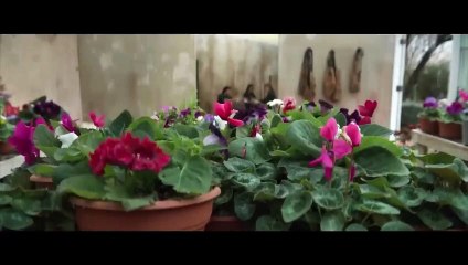 Master Gardener - 6 mars