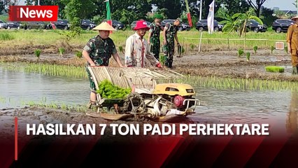 Manfaatkan Lahan Tidur TNI, Pangdam V Brawijaya Pimpin Tanam Padi dan Jagung di Gresik