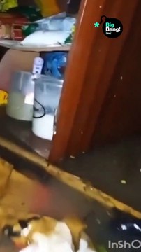 Temporal histórico en Corrientes