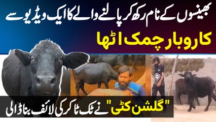 TikToker Anjum Katti Wala TikTok Par Apni Bhainson Ke Sath Videos Bana Kar Viral Ho Gaya