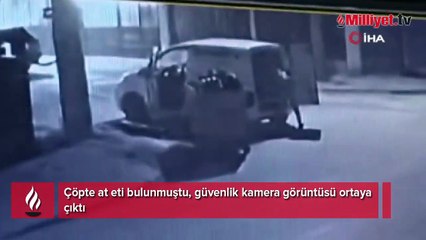 Çöpte at eti bulunmuştu! Şok görüntüler ortaya çıktı