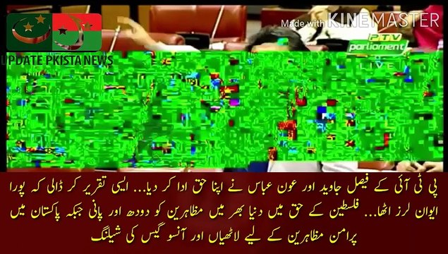 فیصل جاوید اور عون عباس نے حق ادا کر دیا | PTI Faisal Javed and Aun Abbas gave their due... gave such a speech that the whole house shook... milk and water for the protestors in the world in favor of Palestine, while sticks for the peaceful protestors i