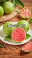 Guava Ke Fayde  #guava #youtubeshorts #amazingfacts #shortvideo #shortvideo #viral