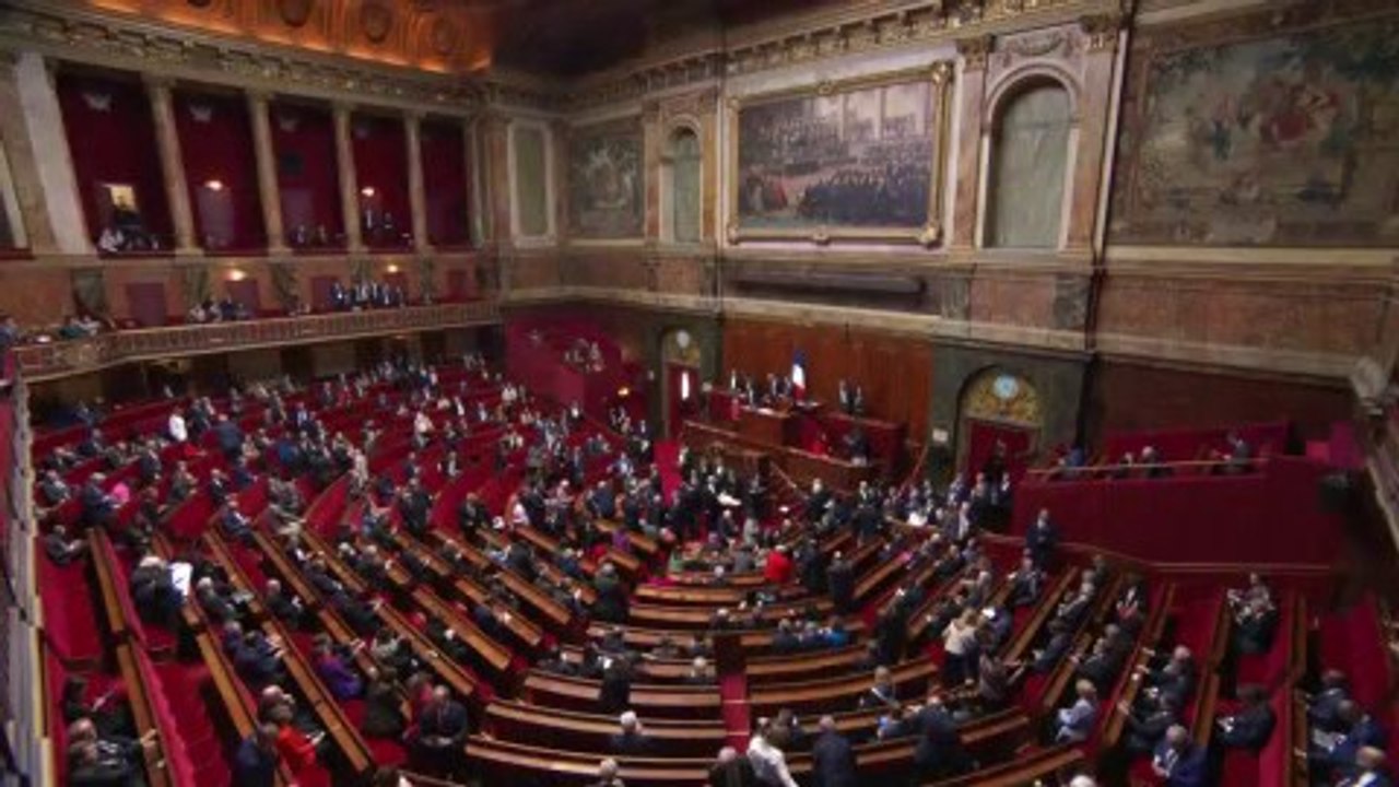 IVG dans la Constitution: suivez les débats au Congrès de Versailles