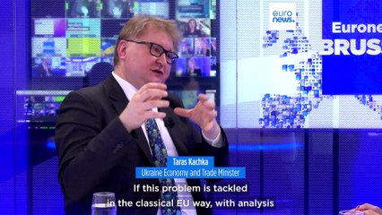 Farmers' demands need rational solutions to 'overcome prejudice' against Ukraine - trade envoy