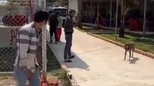 Trường Gà Sông Lam Xem Đá gà trực tiếp tại các trường Gà lớn tại Lào