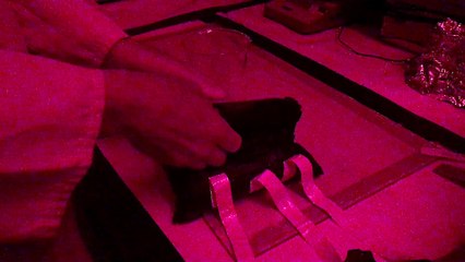 Hidden ‘star’ sand dune mystery solved by ancient find