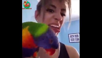 Awesome Funny Animals' Life Videos - Funniest Pets