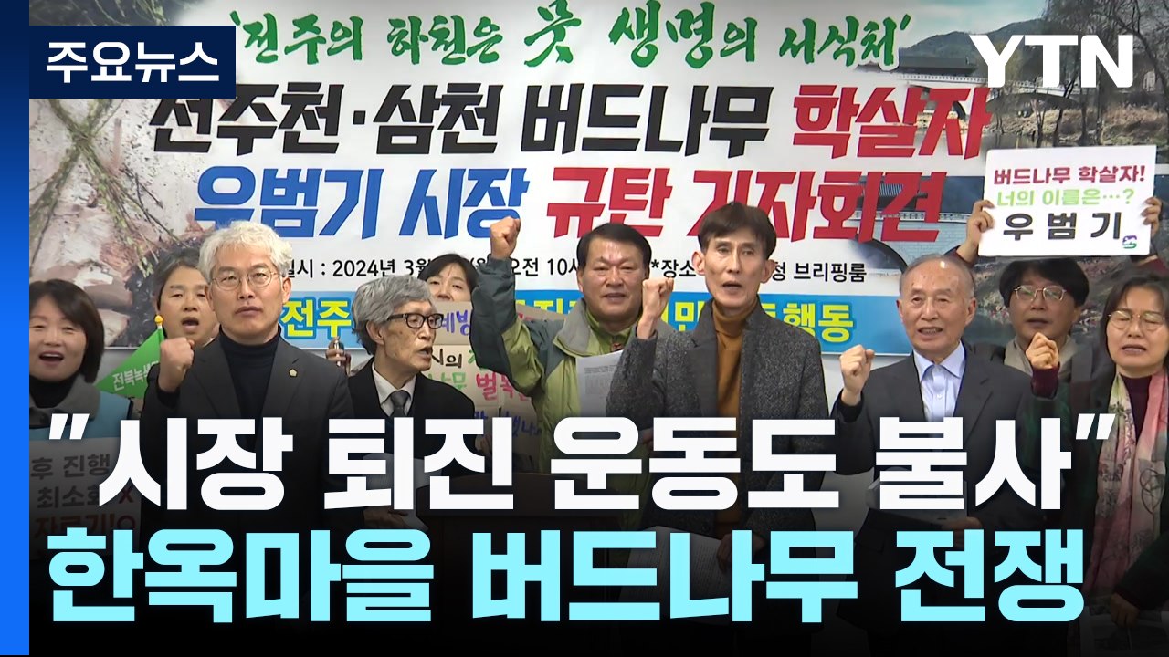 "시장 퇴진 운동도 불사"...한옥마을 옆 전주천 '버드나무 전쟁' / YTN