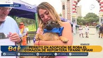 Reportera se quiebra al hablar sobre cómo adoptó a un perrito en una transmisión en vivo: “me da paz”