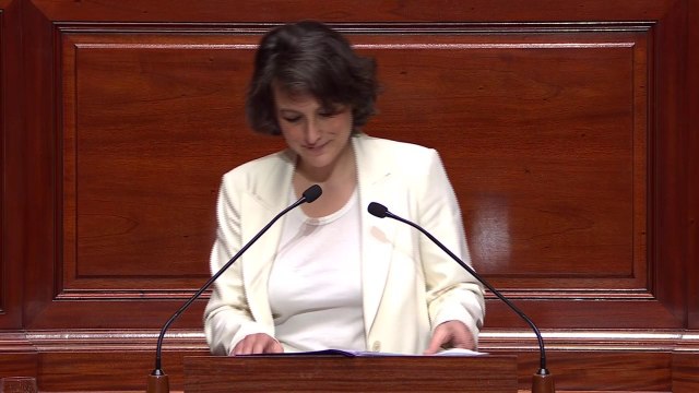 Vous avez définitivement perdu : depuis la tribune du Congrès, Mélanie Vogel s'adresse aux anti-IVG