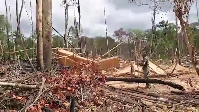 Mais de mil mineiros ilegais desalojados na Venezuela