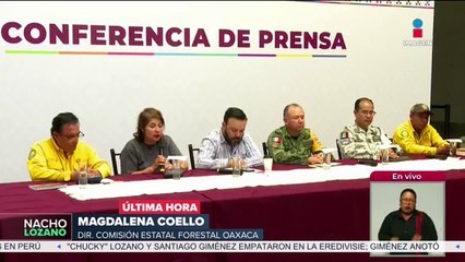 Incendio forestal en Oaxaca está controlado al 90%