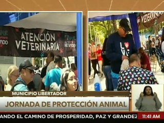 Ministerio Público ha atendido un total de 1.543 casos contra el maltrato animal