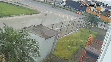 Policial de folga salva homem e pets de ataque de Pitbull