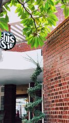 Join us in creating moments that linger on the palate and in the heart at This is It, Hyderabad! 