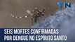 Seis mortes confirmadas por dengue no Espírito Santo