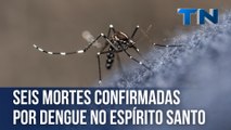 Seis mortes confirmadas por dengue no Espírito Santo