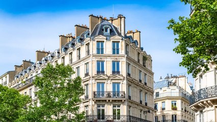 Recherche appartement ou maison vidéo bande annonce