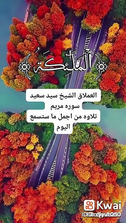 Manshawy