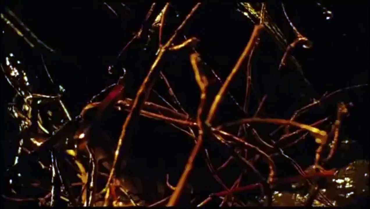 Les rivières pourpres 2 : les anges de l'Apocalypse (2004) - Bande annonce