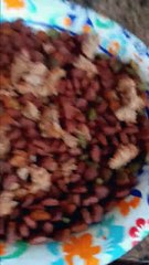 Dog eats his own food 101 AMAZING