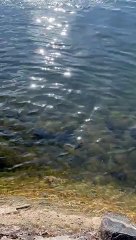 Massive Ice Patch Crashes into Shore at Twin Lakes