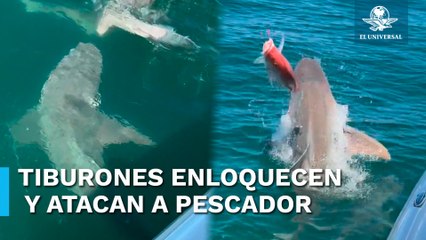 Tiburones atacan a hombre que pescaba en su lancha de motor