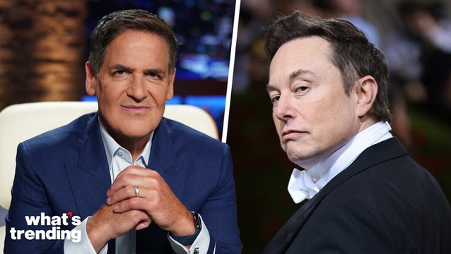 Elon Musk and Mark Cuban Beef on X