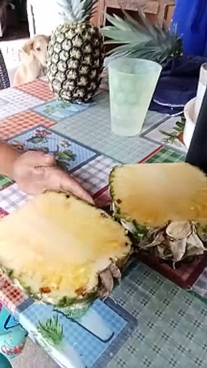 pinya