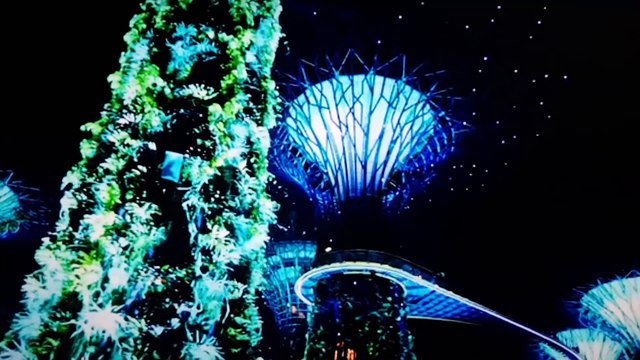 31 elle a gardé ses yeux d'enfant