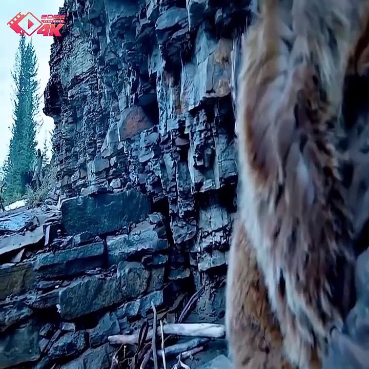 Netflix top Trending Movies in 2024 video Dailymotion