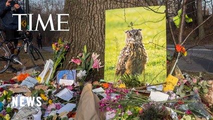 Fans Say Goodbye to Flaco the Owl in New York City Memorial