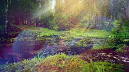 It Might as Well be Spring Rob Wallace Piano Solo