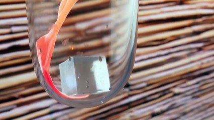 TOAST Saison 1 -  (FR)