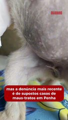 Protetora independente denuncia administração de abrigo animal de Penha e Piçarras