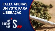 Descriminalização do porte de drogas para uso pessoal voltará a ser debatida no STF