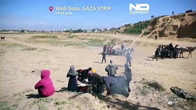 Milhares de palestinianos fogem da fome no norte de Gaza
