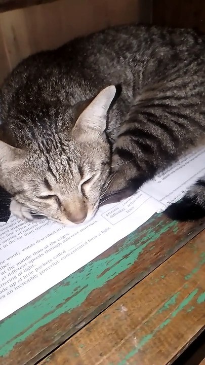tulog muna