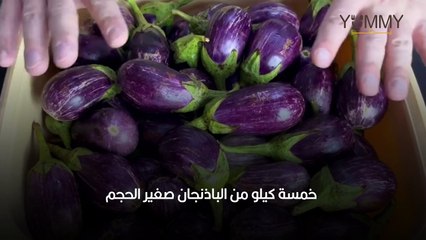 مكدوس باذنجان لبناني